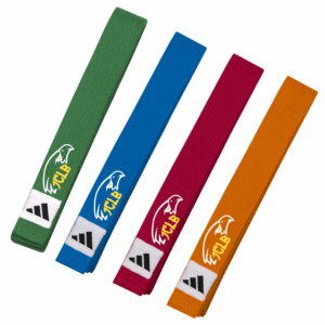 Ceinture Rigide Adidas Couleur - Ados / Adultes